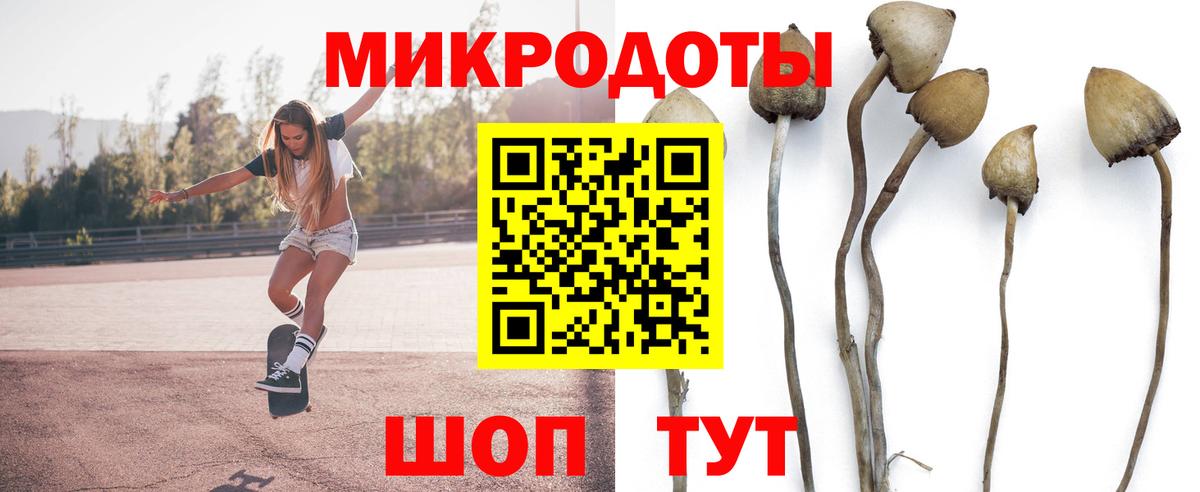 Псилоцибиновые грибы мухоморы Балаково