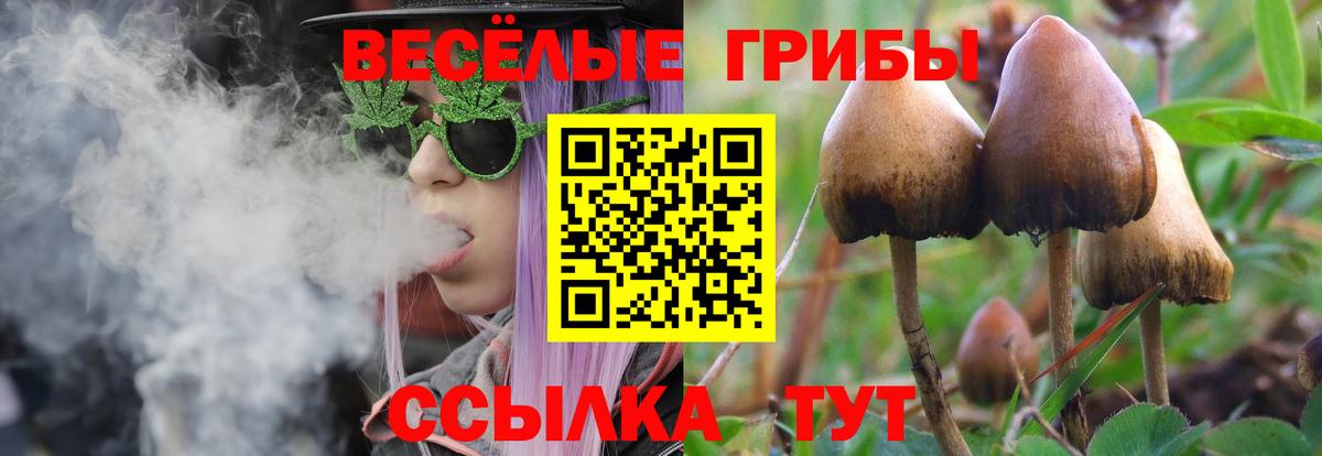 купить наркотики цена  Галлюциногенные грибы Psilocybe  Вход с VPN  Балаково  Псилоцибиновые грибы мицелий 